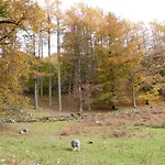 Acorn Holiday home