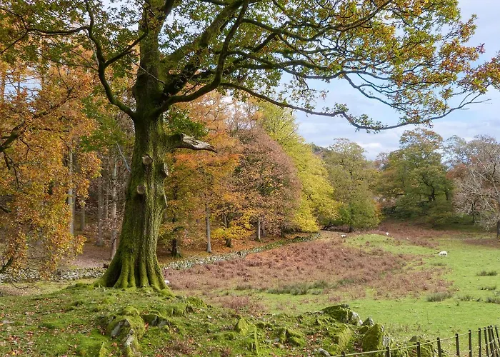 Feriehus Acorn Windermere