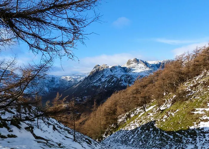 Acorn ווינדרמר