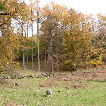 Acorn بيت للعطل