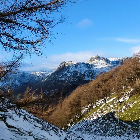 Acorn ويندرمير